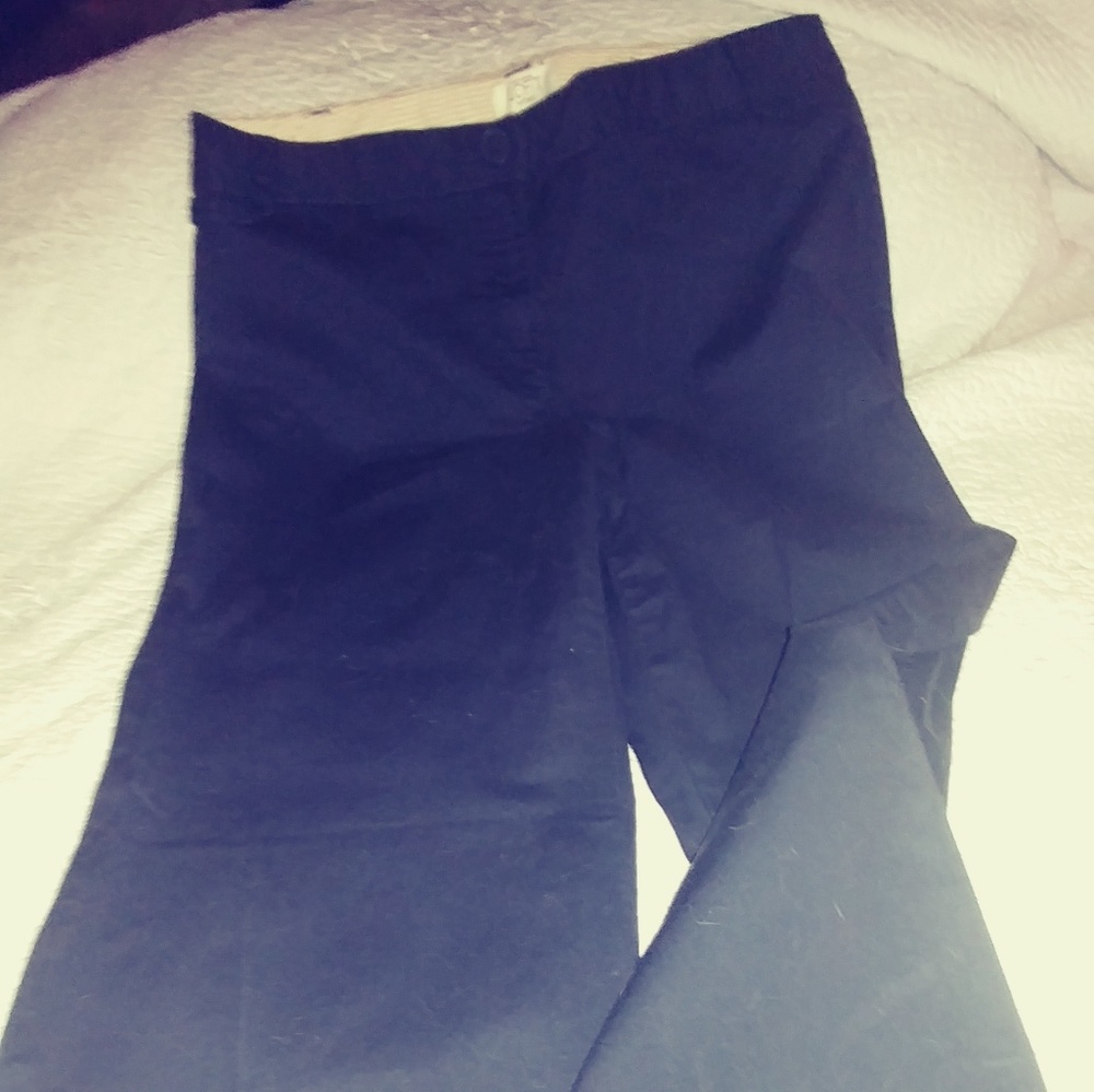Petite Blue Chinos